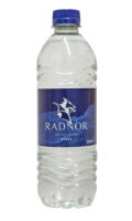 Radnor Still 500ml (1)