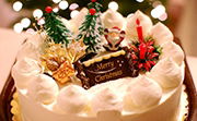 Christmas Cake Decorations