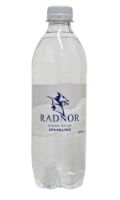 Radnor Sparkling 500ml (1)