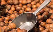 Hazelnuts